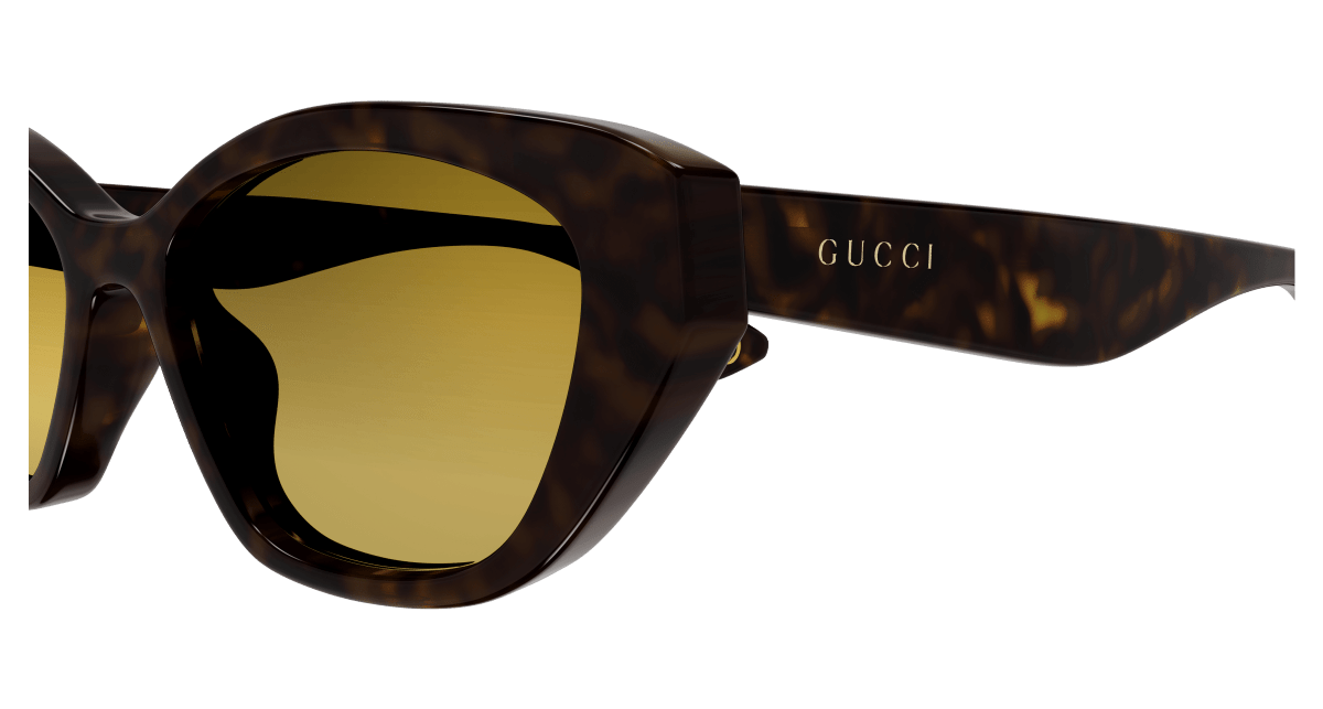 Gucci GG1638S Havana 889652475950