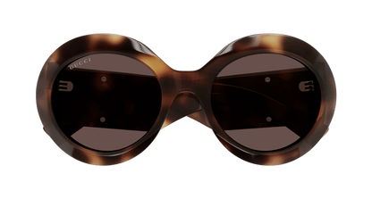 Gucci GG1647S Havana 889652491264