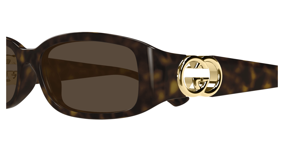 Gucci GG1661S Havana 889652494883