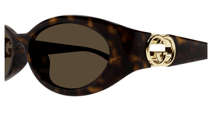 Gucci GG1662SA Sunglasses - Gucci - Havana - 56 MM - Ardor Eyewear 889652495699