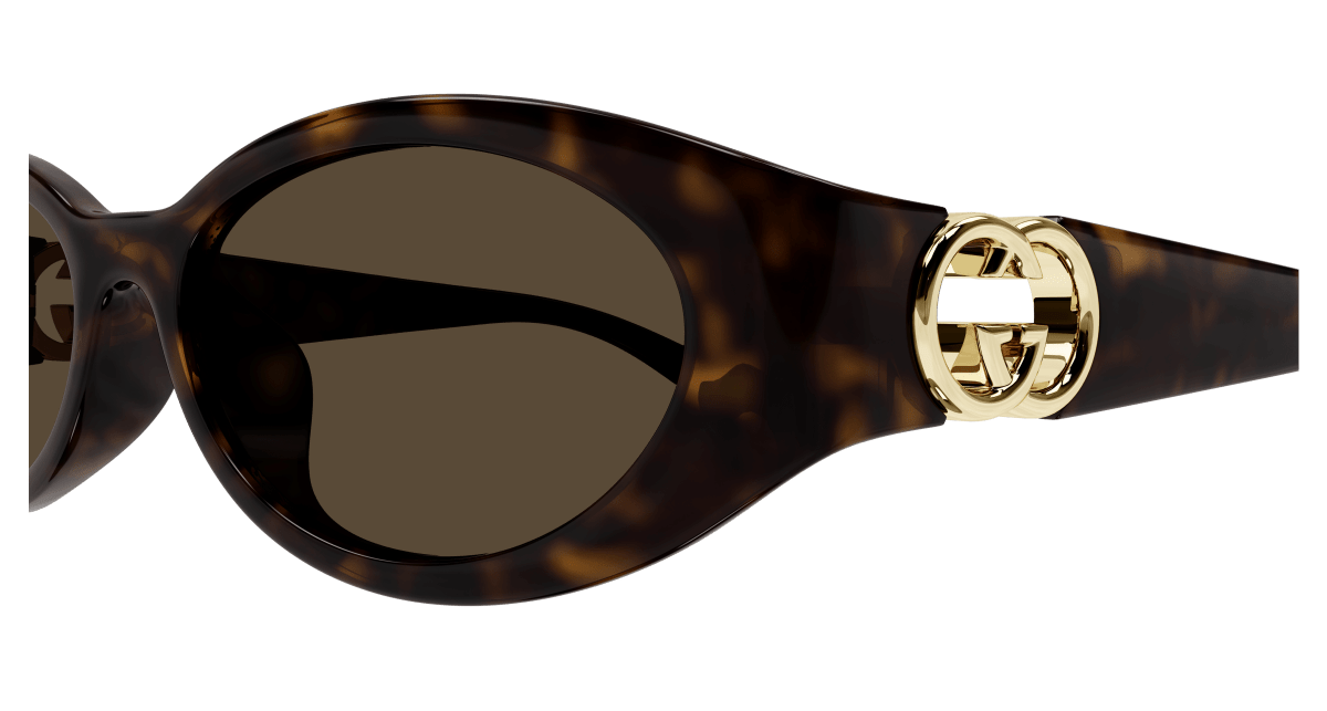 Gucci GG1662SA Havana 889652495699
