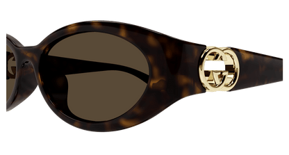 Gucci GG1662SA Havana 889652495699