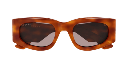 Gucci GG1664S Havana 006 889652627151