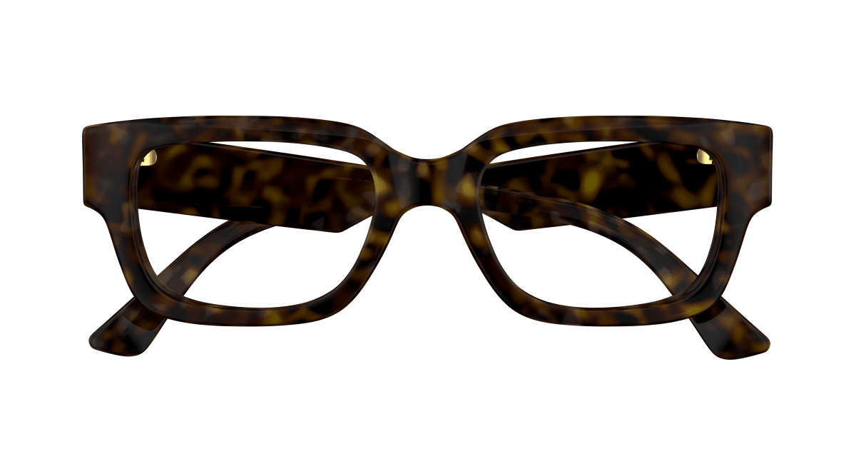 Gucci GG1666O Havana 889652500546