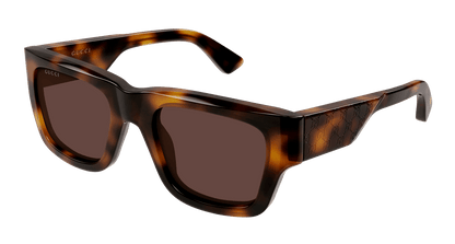 Gucci GG1668S Havana 008 889652627069