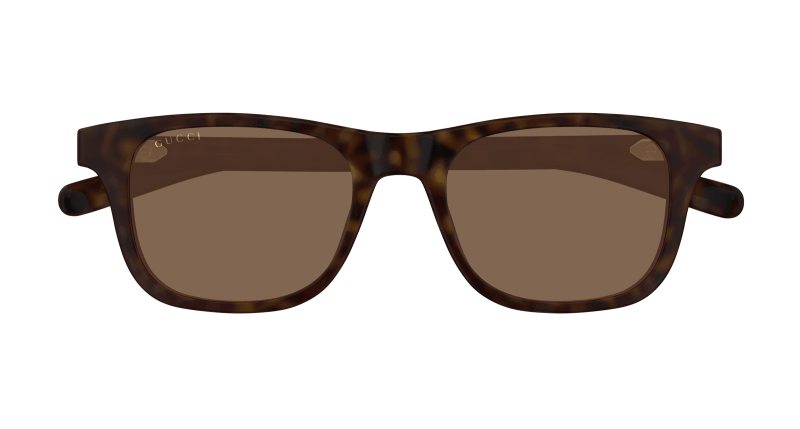 Gucci GG1671S Sunglasses - Gucci - Havana - 53 MM - Ardor Eyewear 889652500614