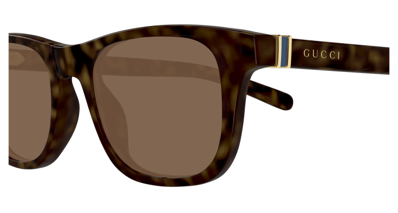 Gucci GG1671S Sunglasses - Gucci - Havana - 53 MM - Ardor Eyewear 889652500614