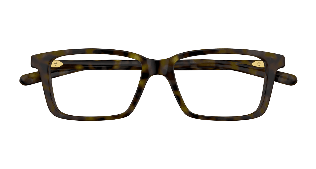 Gucci GG1672O Havana 889652499482