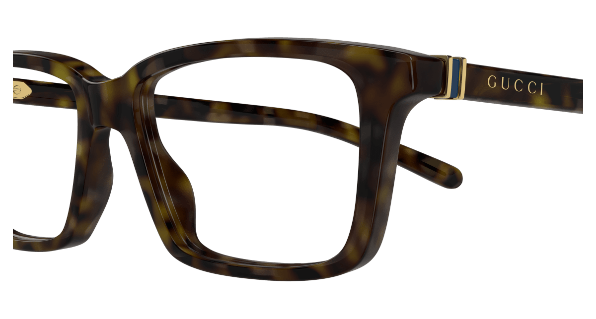 Gucci GG1672O Havana 889652499482