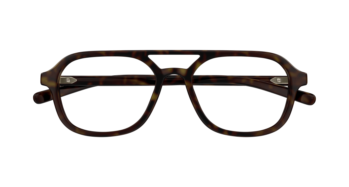 Gucci GG1673O Havana 889652498720