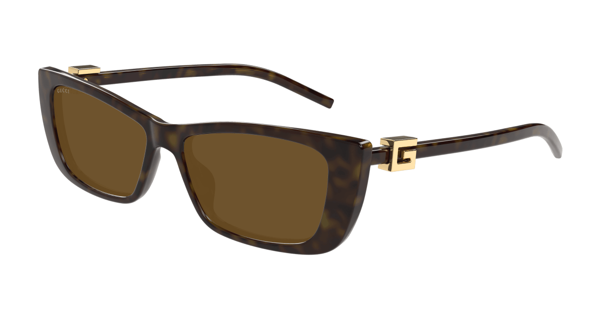 Havana Sunglasses Gucci 889652498843