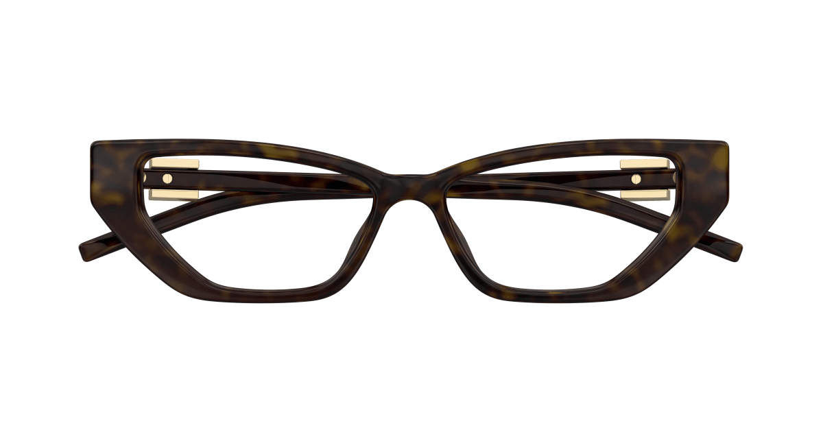 Gucci GG1683O Havana 889652498942