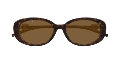 Gucci GG1684SA Havana 889652501802