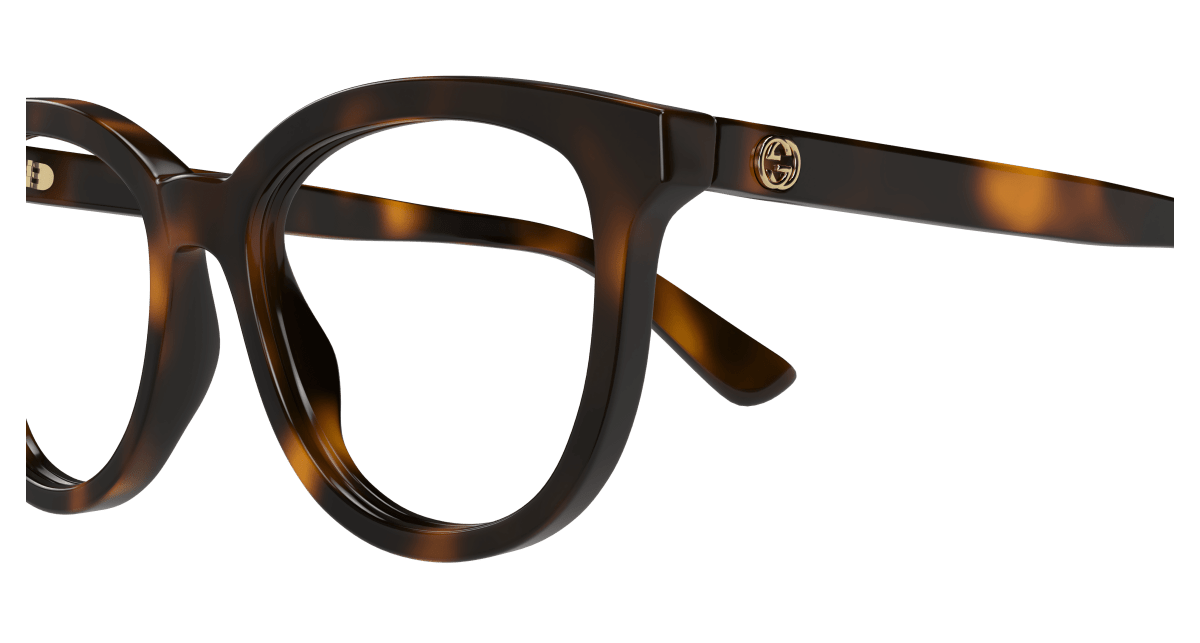 Gucci GG1687O Havana 889652498263