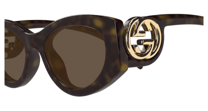 Gucci GG1691S Havana 889652498973