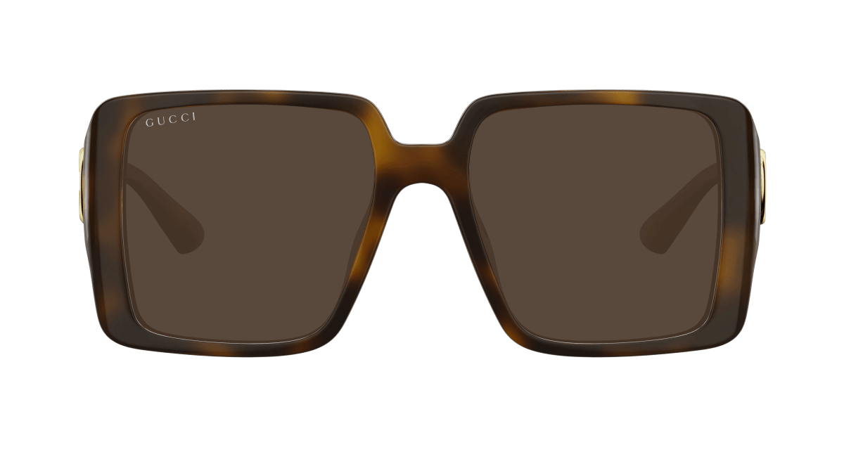 Gucci GG1692SA Havana brown 889652501925