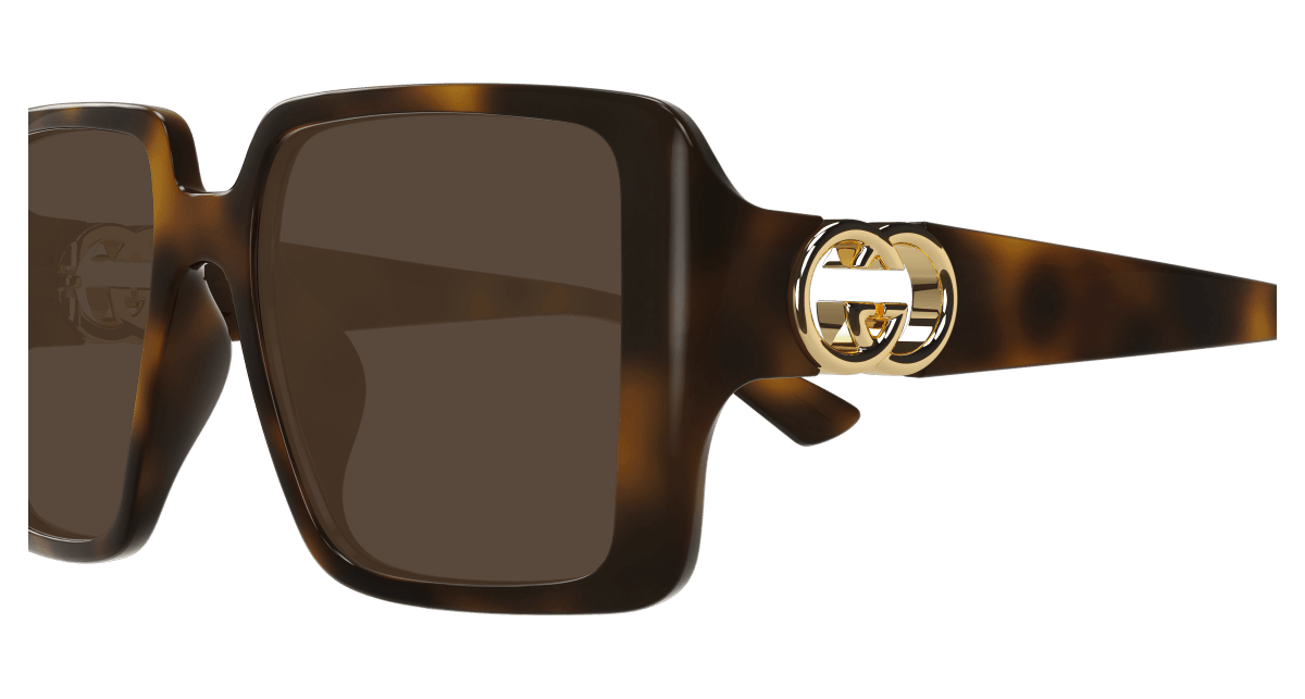 Gucci GG1692SA Havana brown 889652501925