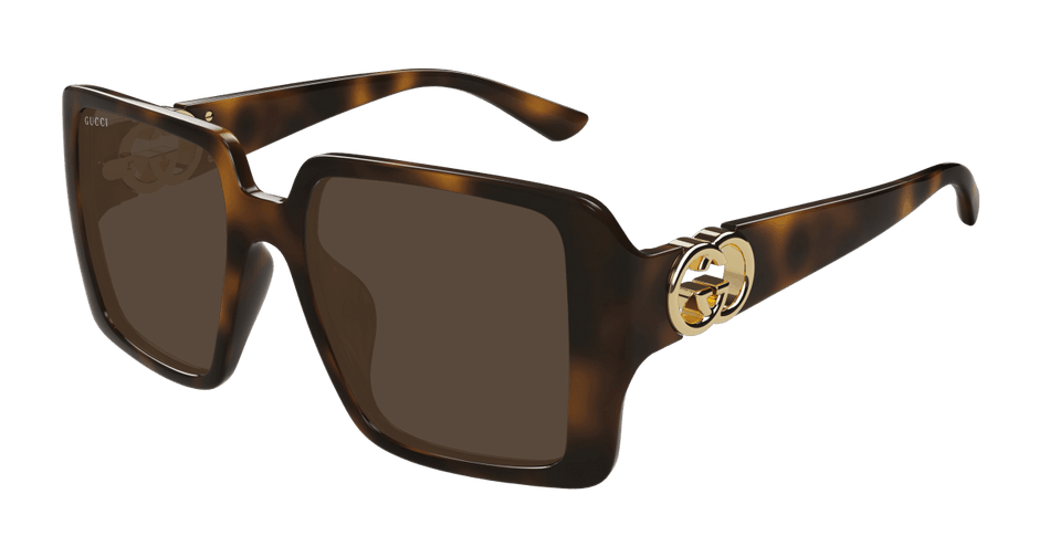 Gucci GG1692SA Havana brown 889652501925