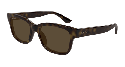 Gucci GG1716S Havana 889652502748