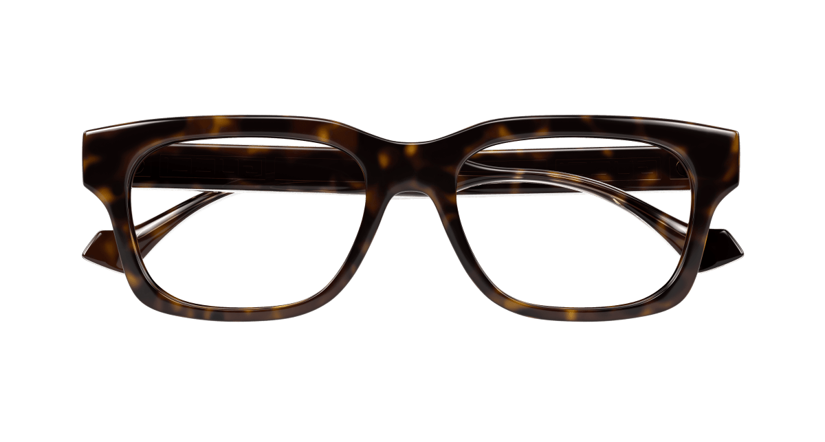 Gucci GG1731O Havana 889652499284