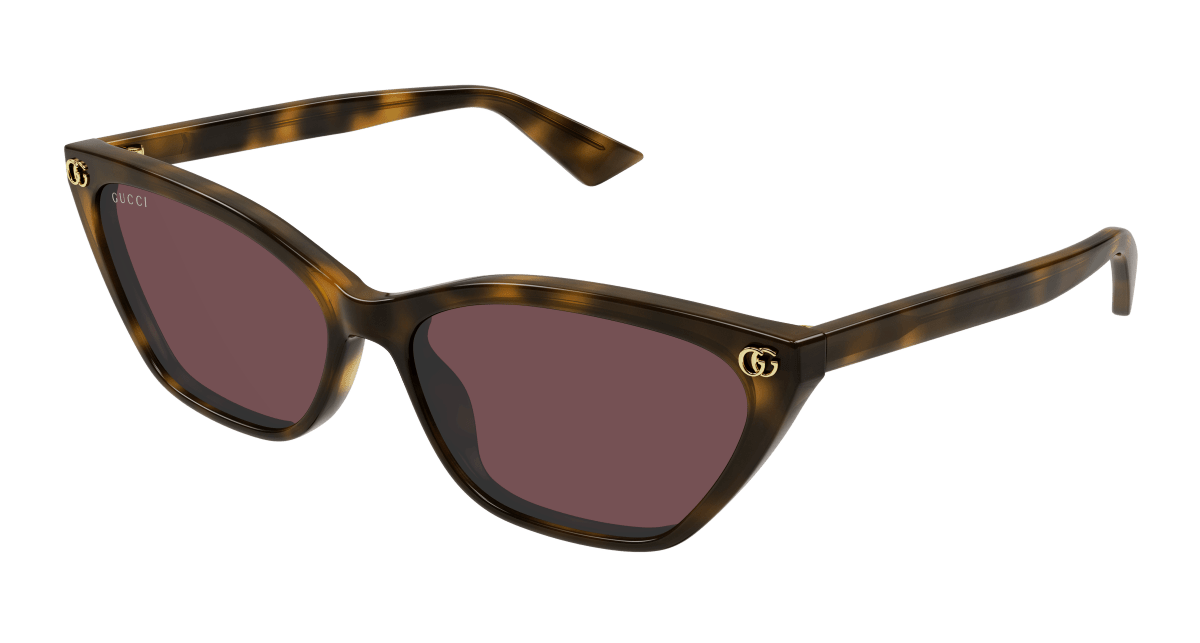 Gucci GG1815S Havana 889652527468