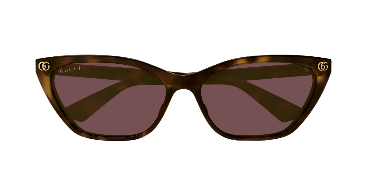 Gucci GG1815S Havana 889652527468