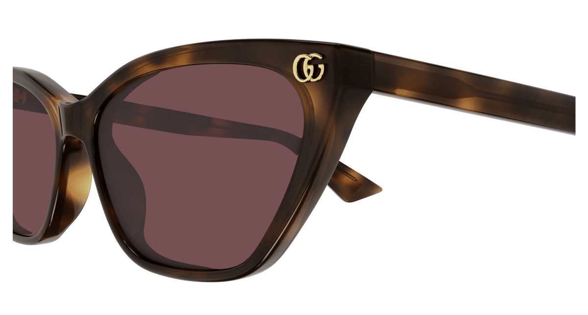 Gucci GG1815S Havana 889652527468