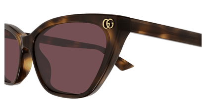 Gucci GG1815S Havana 889652527468