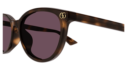 Gucci GG1818SK Havana (Violet) 889652526355