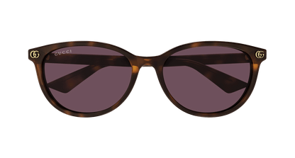 Gucci GG1818SK Havana (Violet) 889652526355