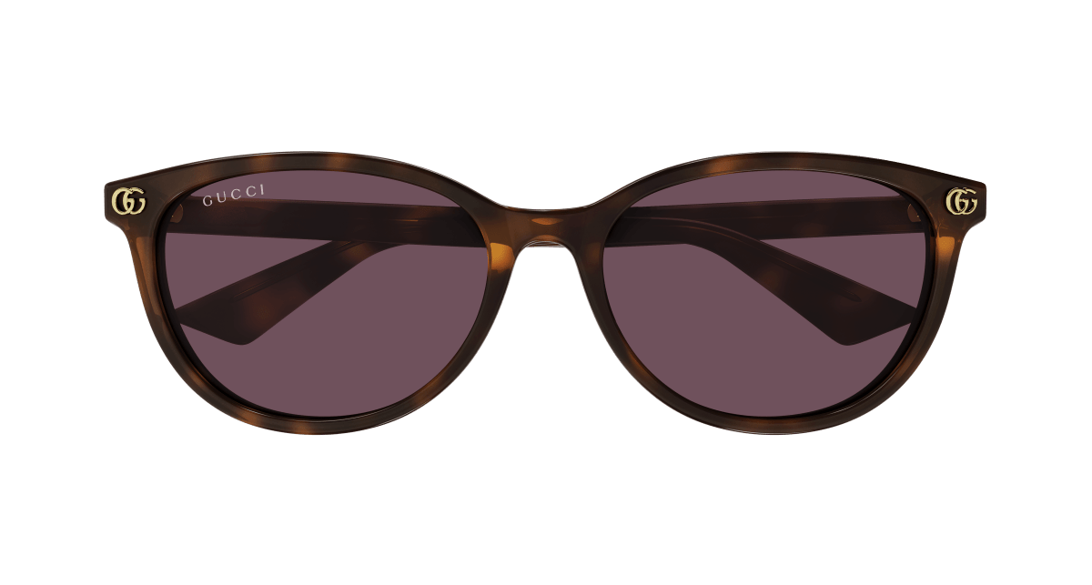 Gucci GG1818SK Havana (Violet) 889652526355