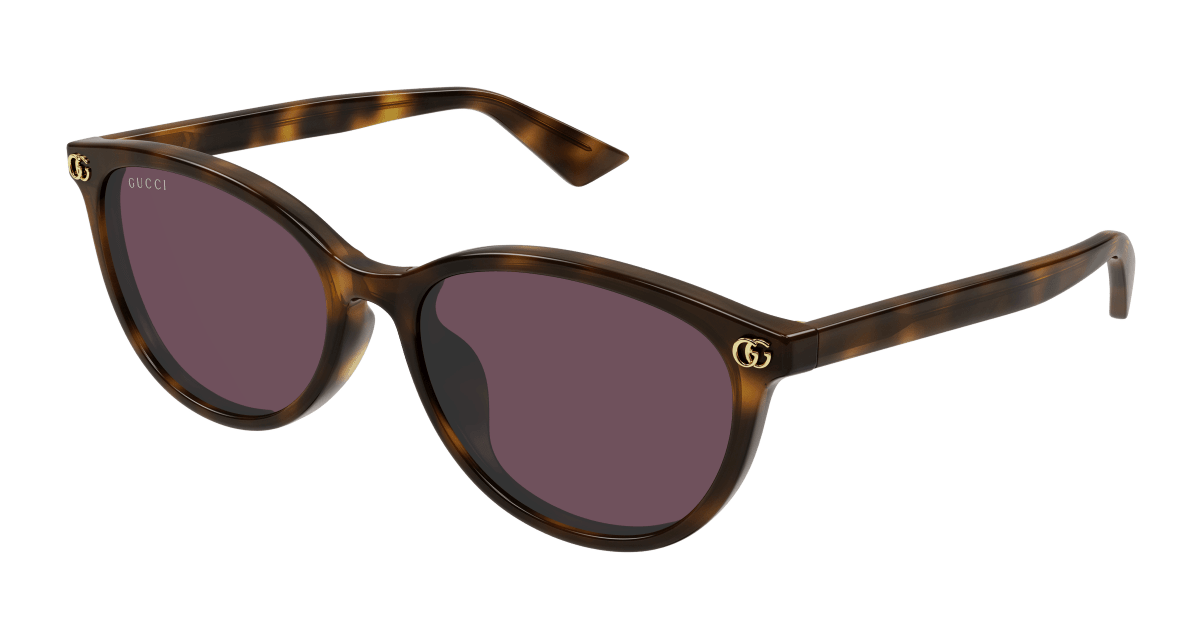 Gucci GG1818SK Havana (Violet) 889652526355