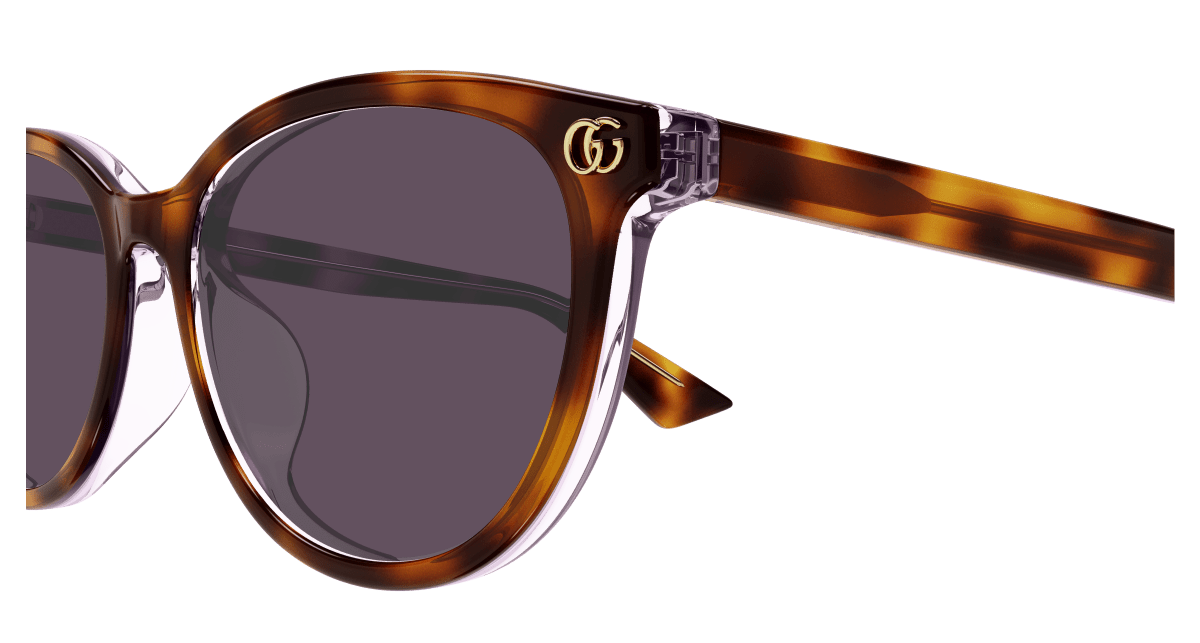 Gucci GG1818SK Havana 889652526379