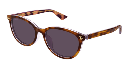 Gucci GG1818SK Havana 889652526379