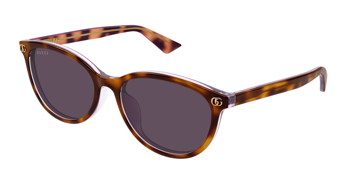 Gucci GG1818SK Havana 889652526379