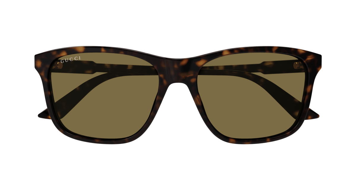 Gucci GG1819S Havana 889652527598