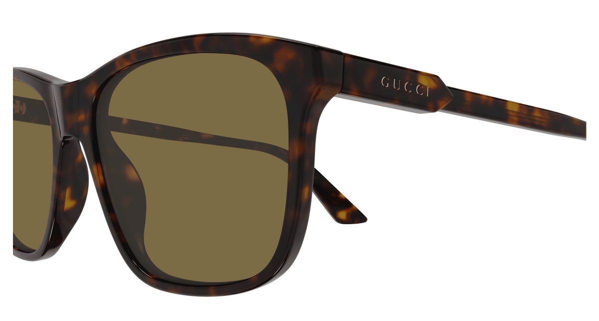 Gucci GG1819S Havana 889652527598