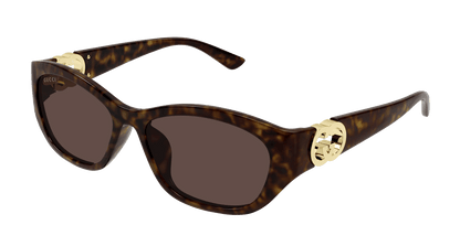 Gucci GG1826SK Havana 889652525877