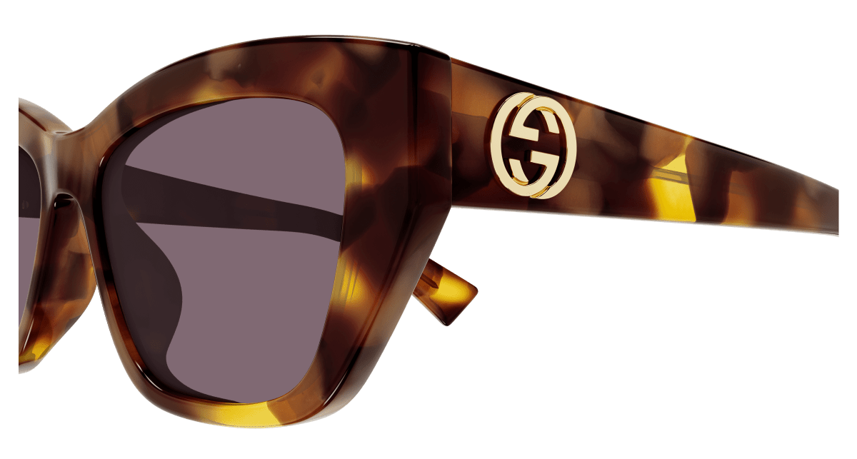 Gucci GG1844SA Havana 889652525631