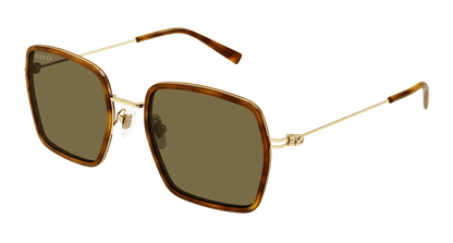 Gucci GG1848S Havana 889652529103