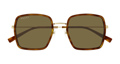Gucci GG1848S Havana 889652529103