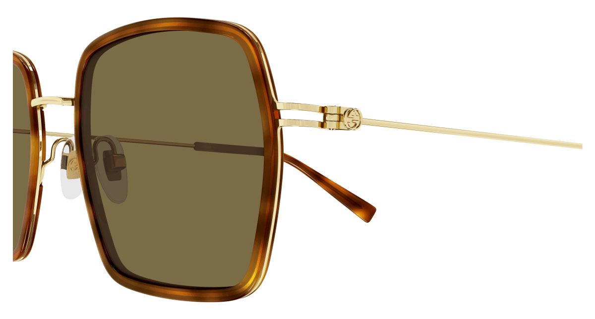 Gucci GG1848S Havana 889652529103