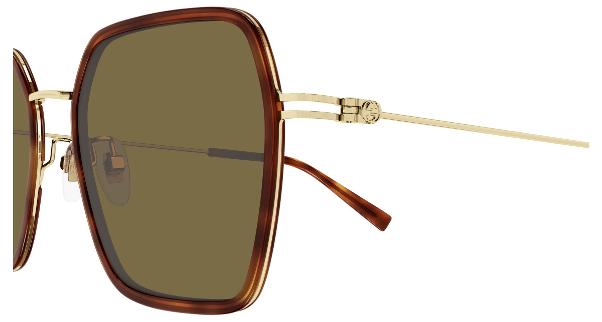Gucci GG1850SA Havana 889652526195