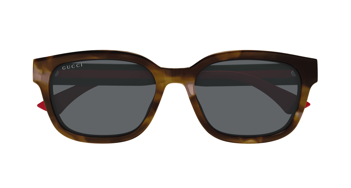 Gucci GG1872SK Havana (Green) 889652525242