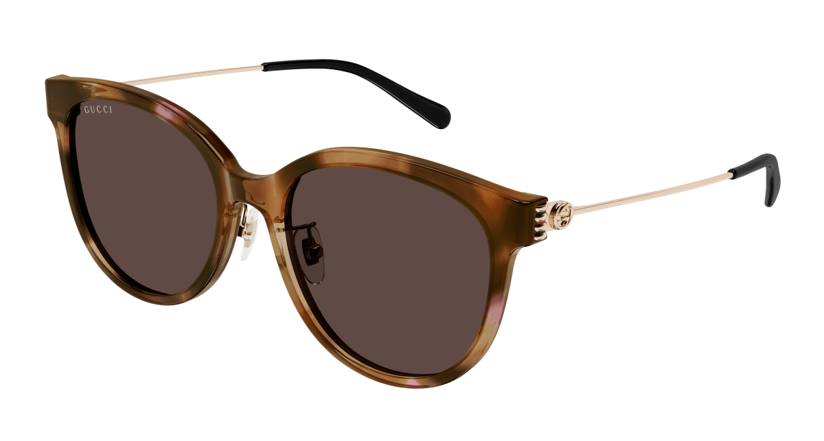 Gucci GG1883SK Havana 889652525334
