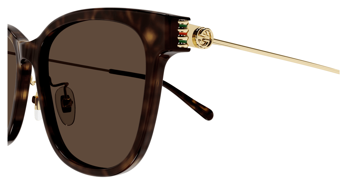 Gucci GG1884SK Havana (Brown) 889652525358
