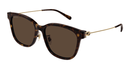Gucci GG1884SK Havana (Brown) 889652525358