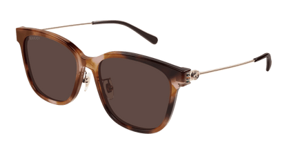 Gucci GG1884SK Havana 889652525372