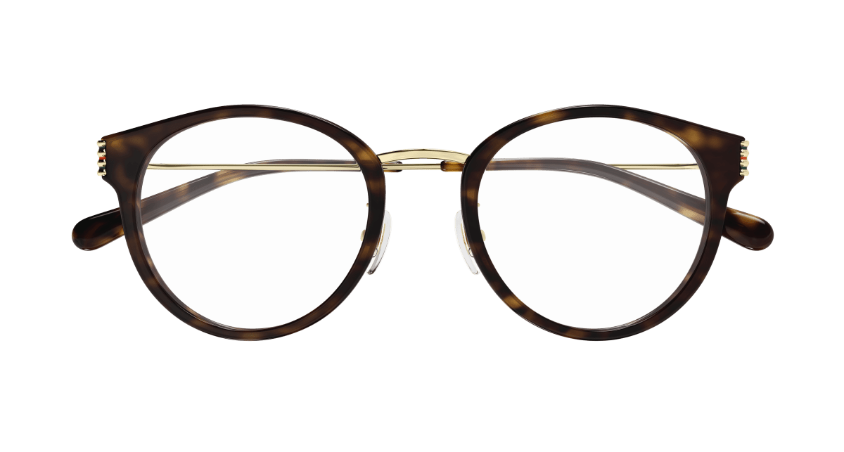 Gucci GG1885OA Havana 889652525396