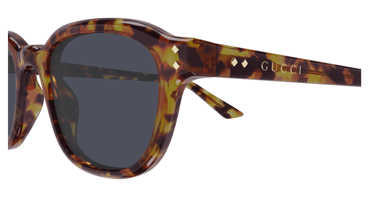 Gucci GG1892S Havana 889652528922